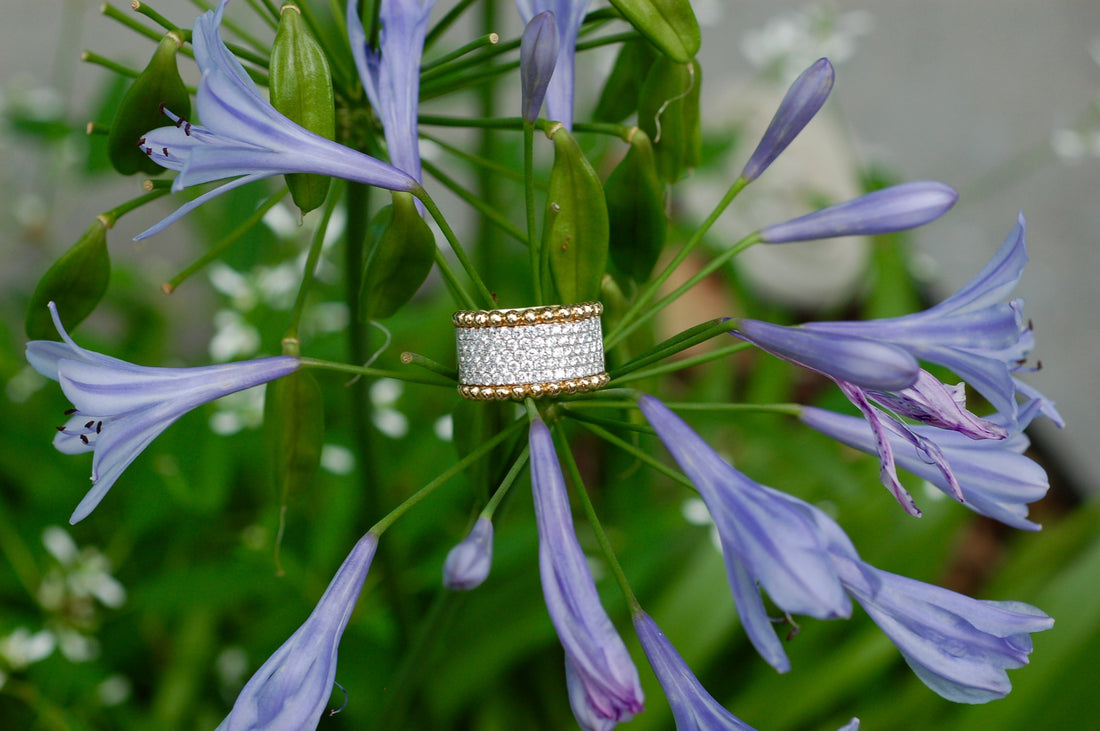 Diamond and Gold Band