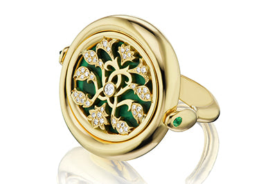 Earth Ring