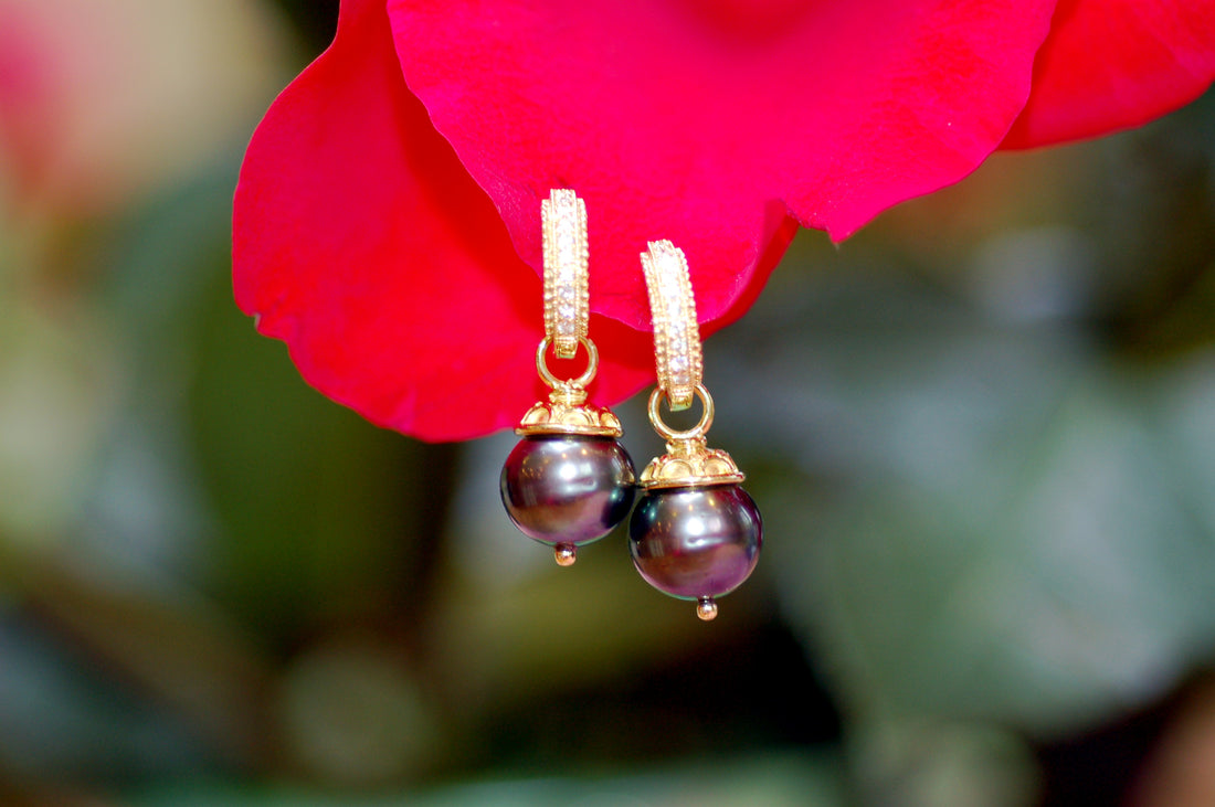 Corporate Savvy Collection