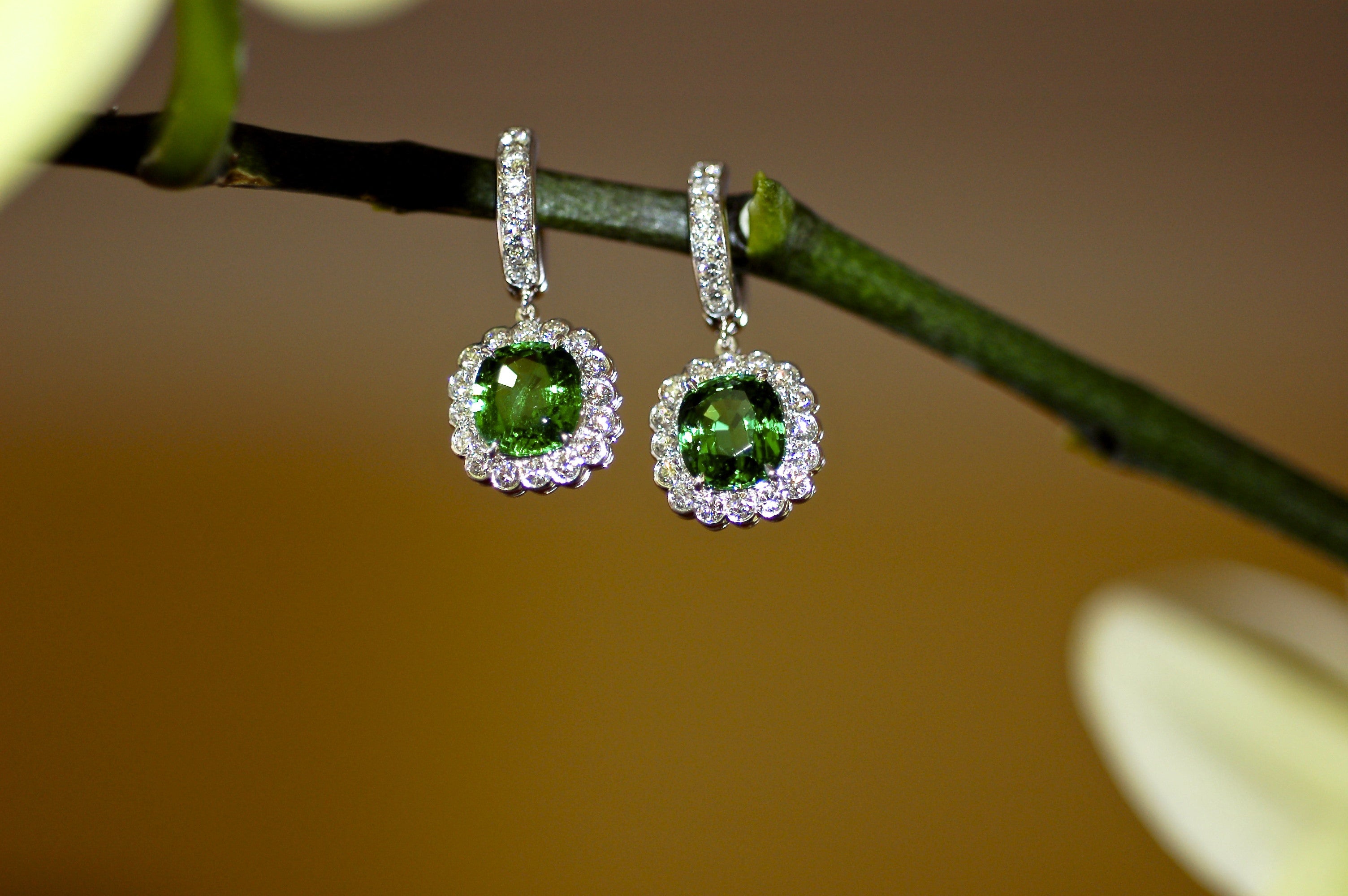 Tsavorite Garnet and Diamond Charm Earrings