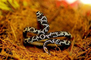 Serpent Bracelet